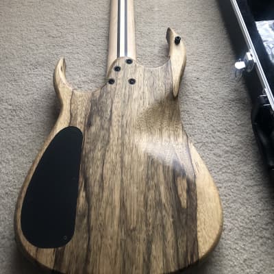 OVERLOAD Custom Guitars RAIJIN 7弦 Overload Custom Guitars Raijin 7 | eBay