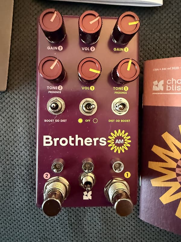 Chase Bliss Audio Brothers AM