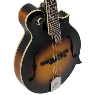 The Loar LM-520-VS | F-Style Mandolin, All Solid Hand Carved. Brand New! image 1