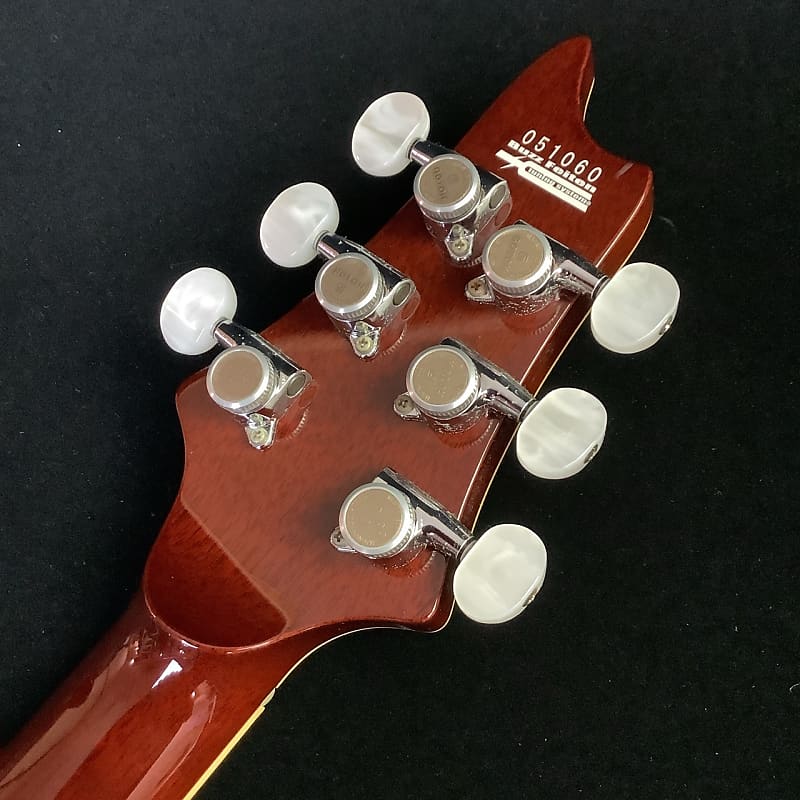 T's Guitars Arc-Hollow 2017 | Reverb