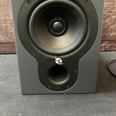 Roland DS-5 studio monitors | Reverb