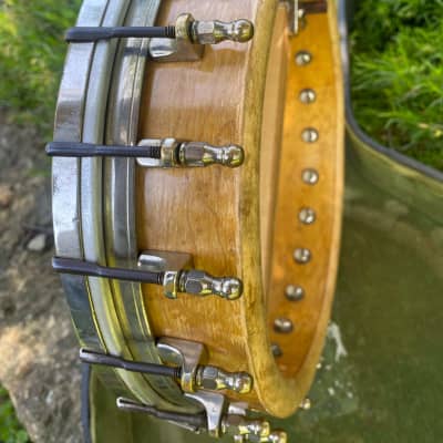 orpheum no. 1 banjo mandolin | Reverb