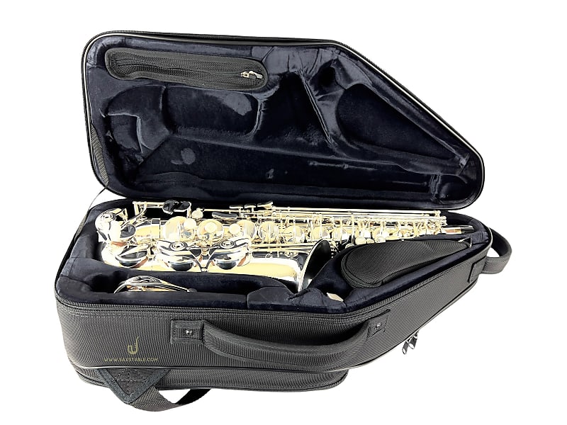 Selmer Paris Supreme 92SP Silver Plated Alto Saxophone Ready To Ship! image 1