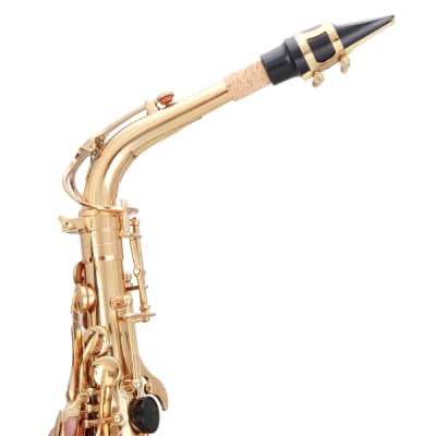 Glarry Alto Saxophone E-Flat Alto SAX Eb with 11reeds, case, carekit, Gold Color for Students image 7
