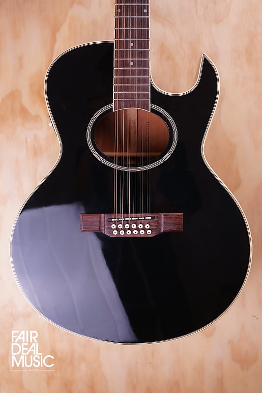 Washburn EA20 12-String in Black, USED | Reverb