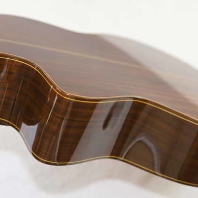 Bartolex SLC10CEL Classical 10-String Harp Guitar, w/Pickup, Cutaway, Sound Port, w/Softshell Case image 19