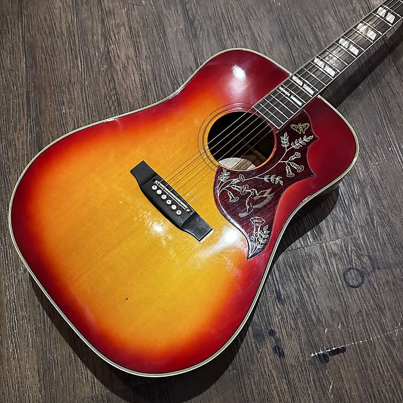 Pearl Hummingbird model PF-250 by Hayashi Gakki MIJ 1970s Pearl Hummingbird model PF-250 by Hayashi Gakki MIJ 1970s