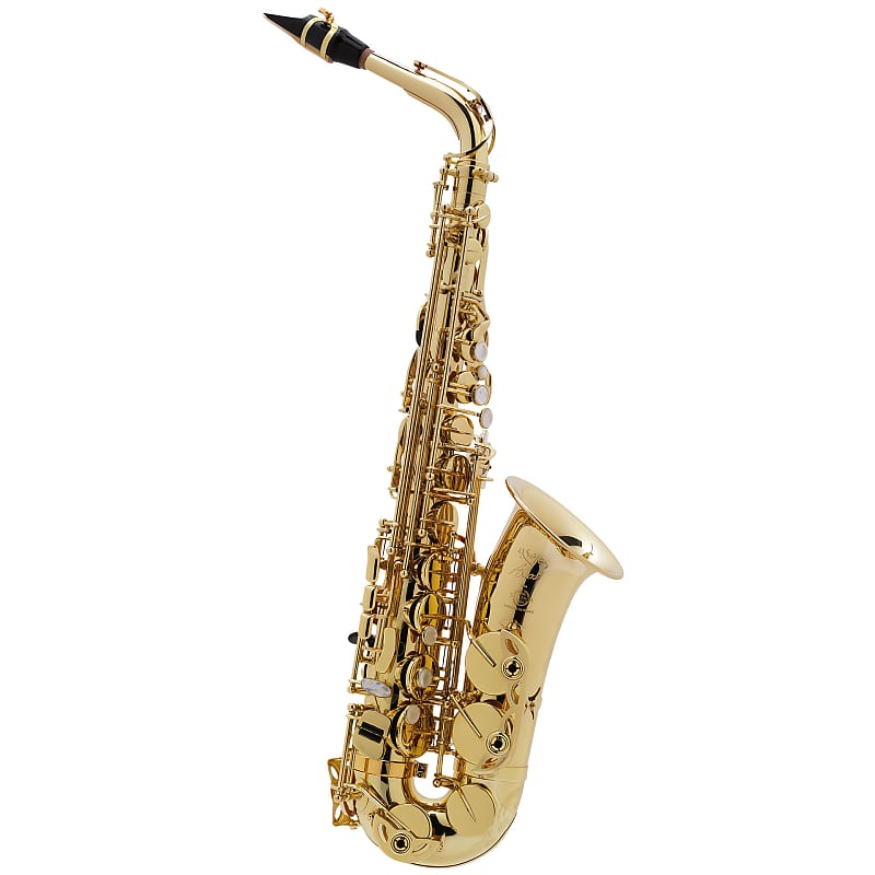 SeleS by Selmer Axos image 1
