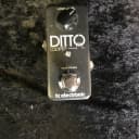 TC Electronic Ditto Looper Mini Looper Guitar Effects Pedal (Nashville, Tennessee)