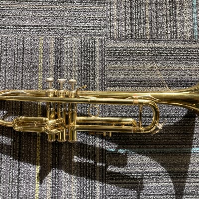 Vincent Bach Stradivarius cornet 31 Bell Mt Vernon NY Leadpipe #106 |  Gamonbrass | Reverb