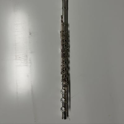Achat Flûte Traversière HAYNES 700 Amadeus - Rue des Vents, Magasin  Spécialisé en Instruments à Vent