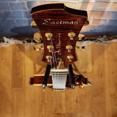 Eastman Otto D'Ambrosio El Rey Hollowbody Electric Guitar - Original Hard Case-Solid Wood Beauty image 6