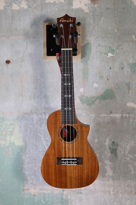 Amahi C-04 Amahi All Solid Koa, Concert Cutaway image 1