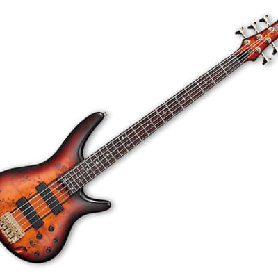 Ibanez SR805 5-string Bass Poplar Burl Top - Aged Whiskey Burst