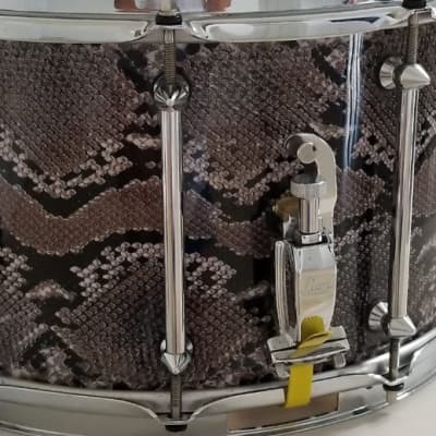 Pearl VP1480 14x8" Vinnie Paul Signature Maple Snare Drum 2010s - Snakeskin Graphic image 3