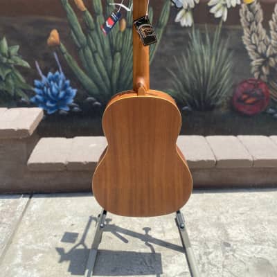 Ortega Family Series R121 Acoustic Guitar image 7