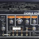 Roland  SRE-555 Rackmount Version Of The Classic 80's Chorus Echo