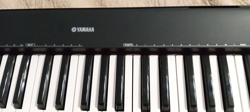 Yamaha NP 30 Portable Grand 2010s - Black | Reverb