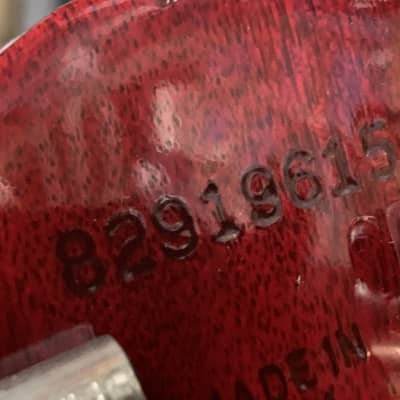 Gibson Les Paul Standard  1989 image 14
