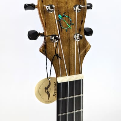 Big Island E-Ukulele Longneck EUL SMP N 2023 - Natural Spalted Maple image 6