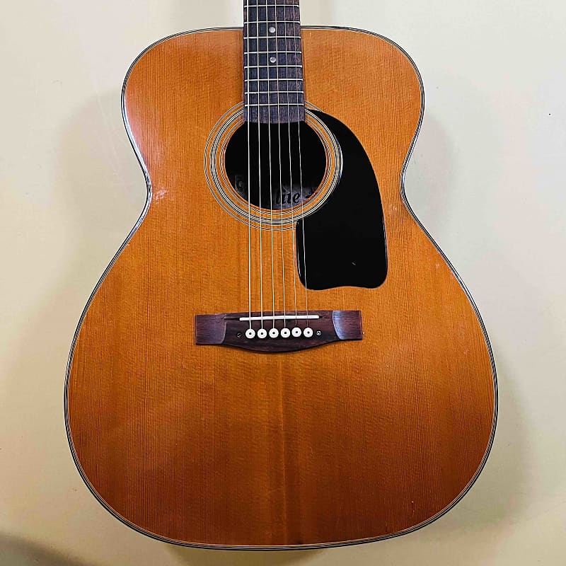 ★Japanese vintage guitar★Elite★Takamine MADE IN JAPAN 1978 - TAKAMINE ELITE TW30 - SIMPLY TERRIFIC