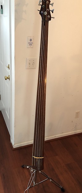 Ergo 6 String Electric Upright Bass EUB Reverb