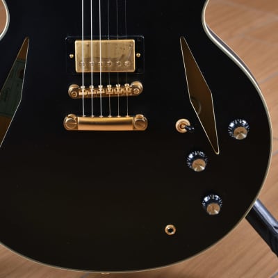 Epiphone Emily Wolfe Sheraton Stealth Outfit Black Aged Gloss image 8