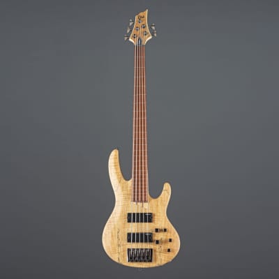 ESP LTD B-205SM-FL 5-String Bass G uitar   - 5-String Electric Bass image 2