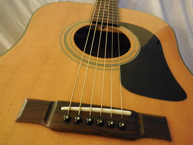 George sales washburn d10n
