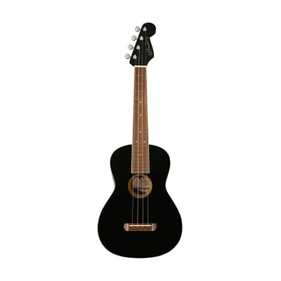 FENDER AVALON acoustic guitars for sale in USA | guitar-list