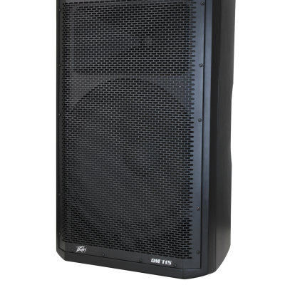 2 Peavey Dark Matter DM 115 15", 1320 Watts Powered Speaker Bundle With Two Speaker Stand & Cables image 4
