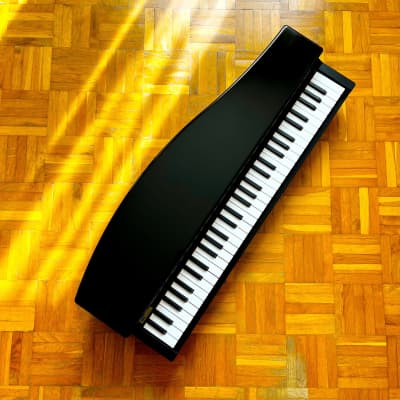 ☆ Brand New! ☆ Korg MicroPiano made in Japan - Mini Piano Keyboard 61 Key! Very great professional sounds! With original box, packaging, manual, p.supply! Impossible to find! image 1