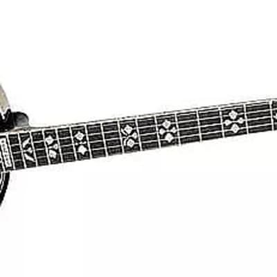 Gold Tone OB-250/L Professional Orange Blossom 5-String Bluegrass Banjo w/Hard Case For Lefty Player image 4