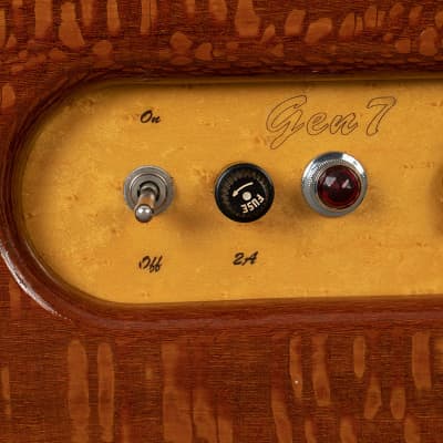 Eames Colvin Gen 7 18 Watt 1x12 Custom Combo image 7