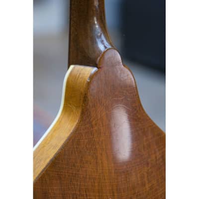 1950s Gibson A-40 natural image 10