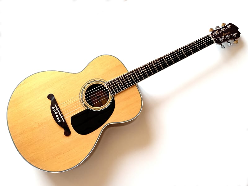 James JF350 アコースティックギター Amazon | James JF350/BK アコースティックギター ジェームス