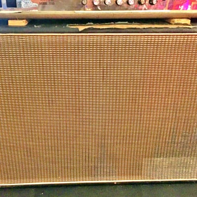 unknown Vintage 2x12 guitar cabinet 60's for sale
