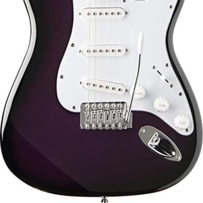 全音 MORALES ZES-300 1966-69 Morales ZES-300 Tuxedo Finish Edition Mosrite Clone