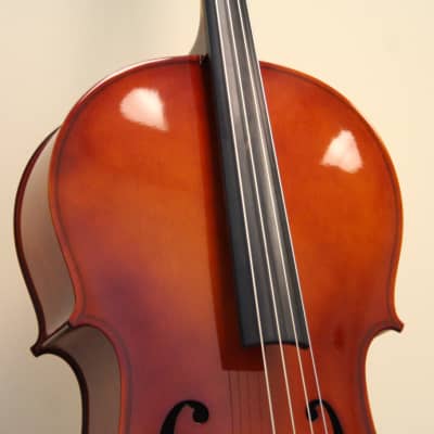 Premium Used Cello 4/4 Size, Amati - CE-44-124 image 3