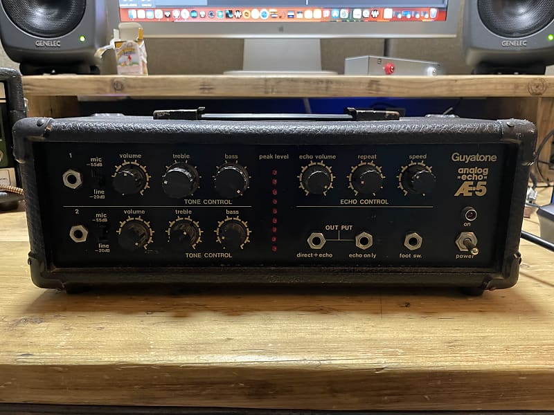 GUYATONE AE-5 ANALOG ECHO - Mid 70s Vintage Japanese Echo Unit