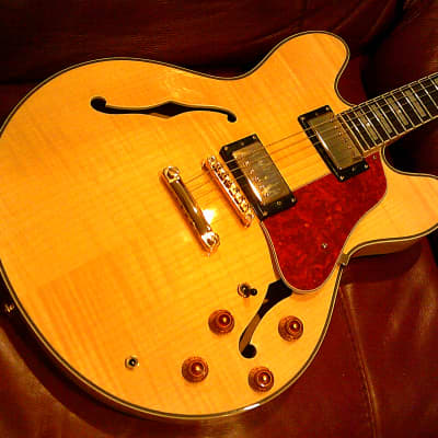 KARERA 335-Style Semi-Hollow Body Electric Guitar *BEAUTIFUL with WARM-TONE & *FREE Hard-Shell Case!!! for sale