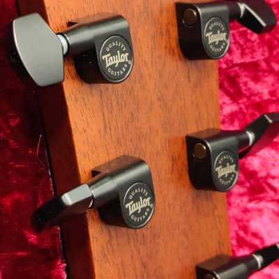 Taylor 324ce Grand Auditorium Mahogany/Blackwood Cutaway Acoustic/Electric with V-Class Bracing image 19