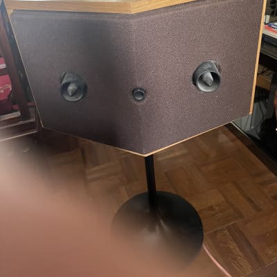 Bose 901 Series VI with Tulip Stands and Equalizer image 2