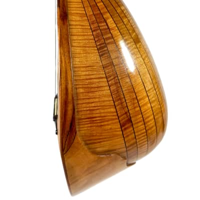 Pasquale Vinaccia Mandolin from 1883 image 7