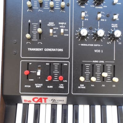 Octave The Cat (non-SRM) vintage analog synth image 2
