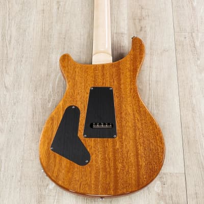 PRS Paul Reed Smith Custom 24 "Floyd" 10-Top Guitar, Ebony Fretboard, Charcoal image 5