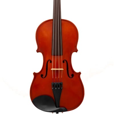 Maple Leaf Strings Apprentice Collection 4/4 Violin MLS110VN image 1