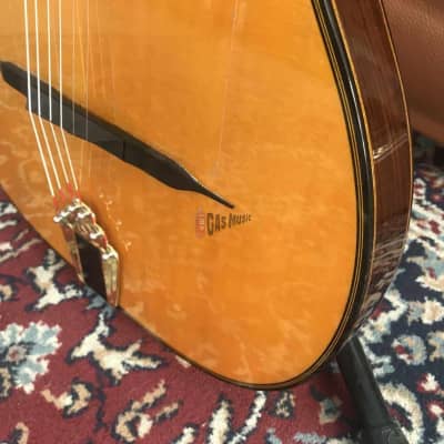 Gitane  DG-455 Gypsy Guitar image 6