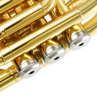 Standard Pocket Trumpet Bb Full Kit With Case & Accessories Bundle image 6