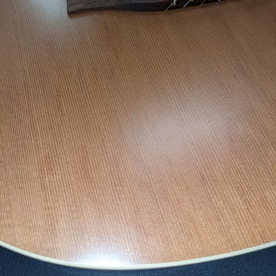 Godin Multiac Grand Concert Nylon image 2